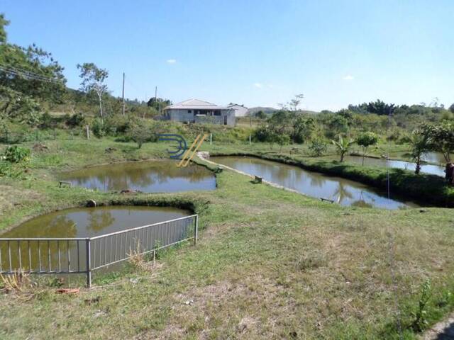 #ST00004 - Sítio para Venda em São José dos Campos - SP - 3