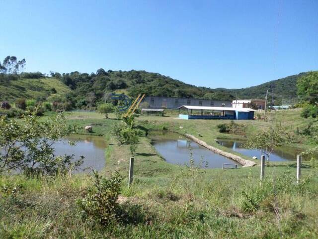 Sítio para Venda em São José dos Campos - 5