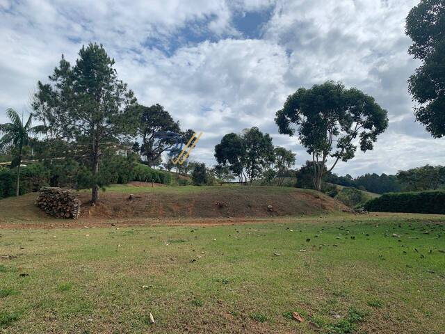 #TE288 - Terreno para Venda em Santo Antônio do Pinhal - SP - 3