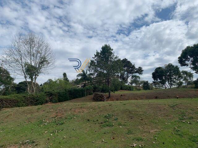 Terreno para Venda em Santo Antônio do Pinhal - 4