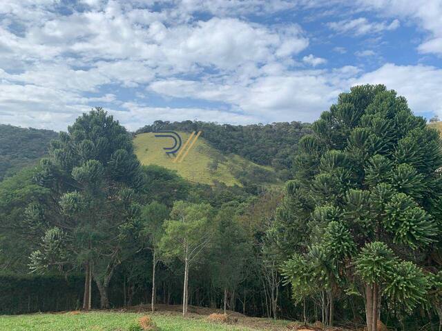 Terreno para Venda em Santo Antônio do Pinhal - 5